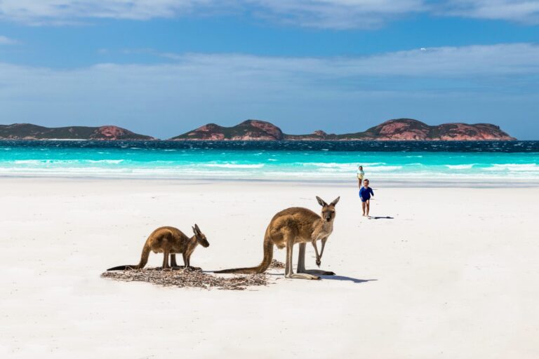 travel to australia