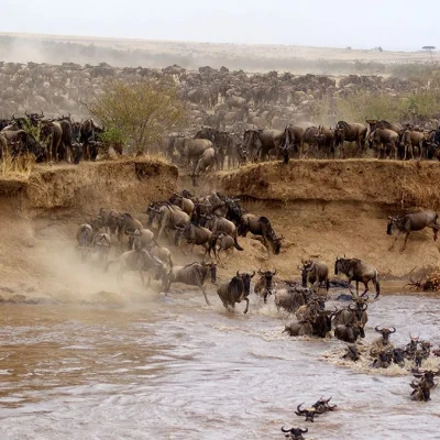 Masai-Mara-wildlife-reserve-1200x675.jpg