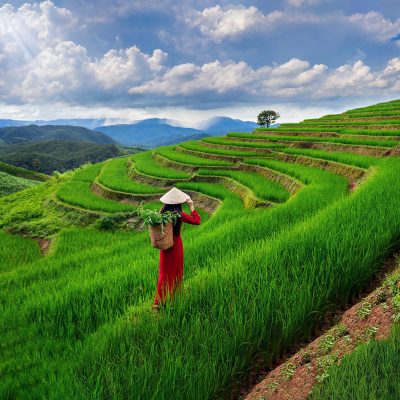 Vietnam- A Journey Through History, Culture, and Natural Beauty