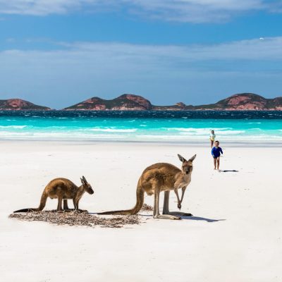 travel to australia